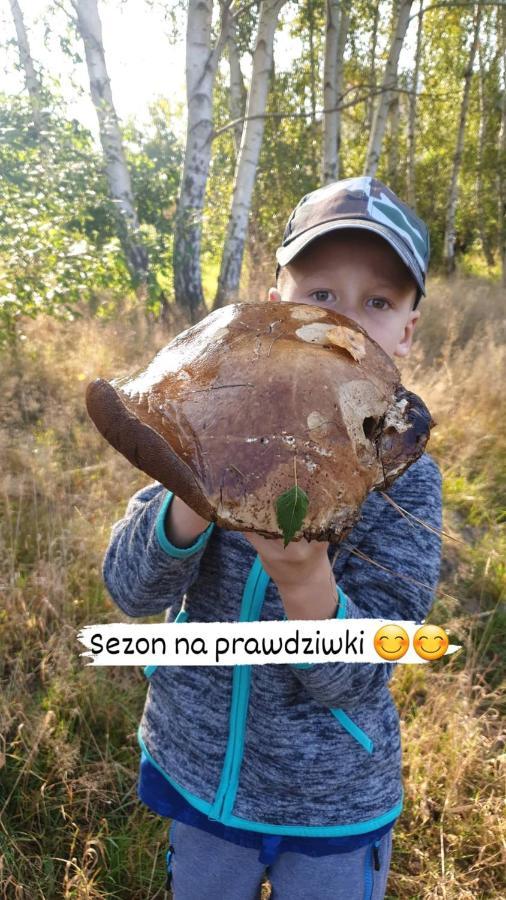Aris Pokoje Goscinne Wojnicz 외부 사진